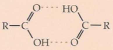 <p>two monomers bonded together, carboxylic acids bond together with HYDROGEN bonds</p>