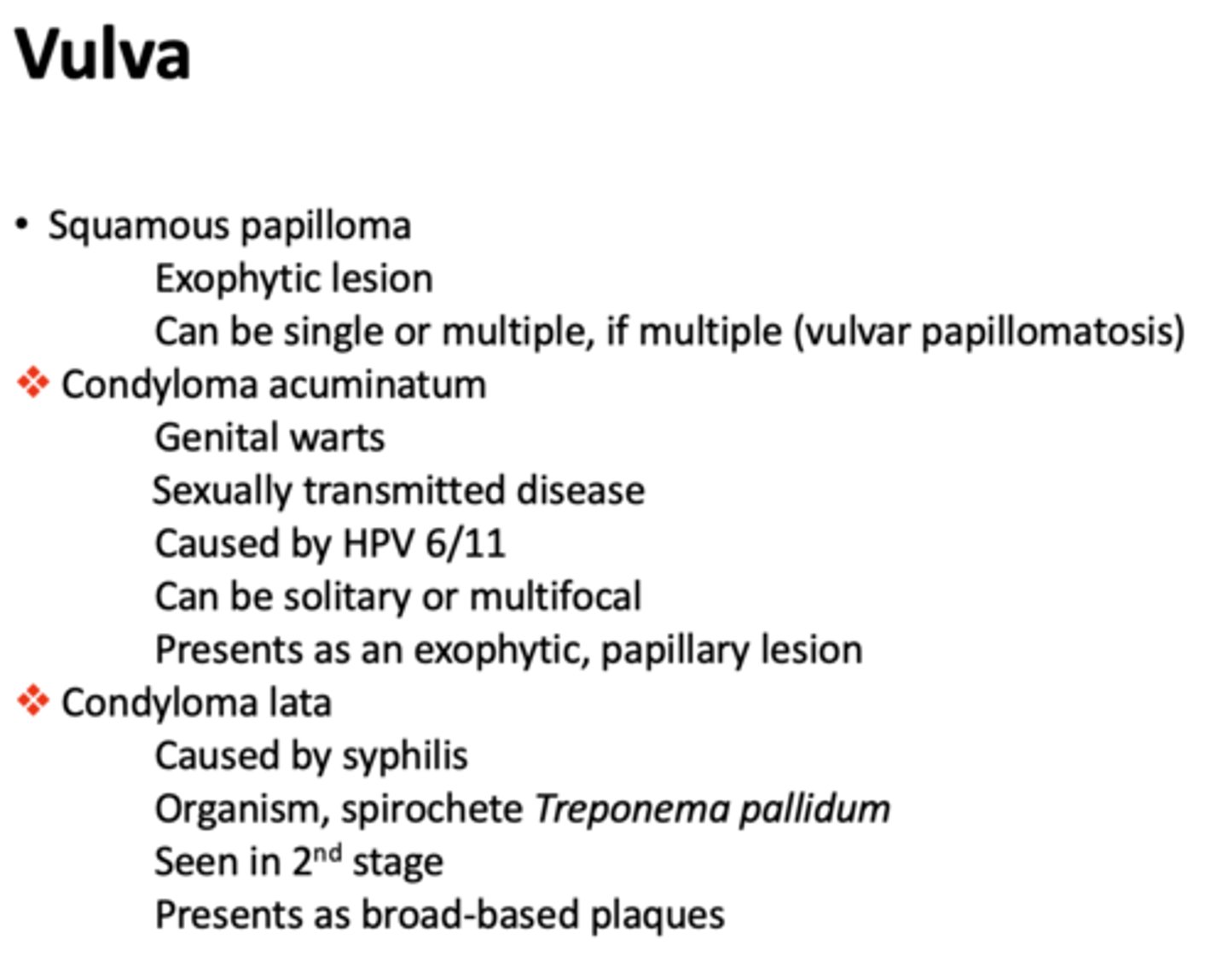 <p>Squamous papilloma</p>