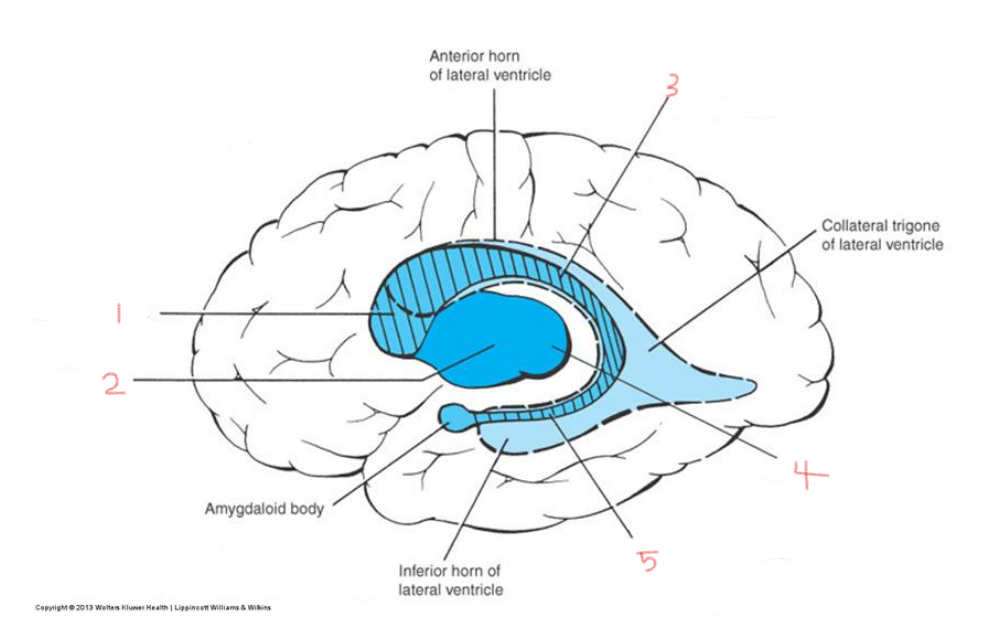 <p>2</p>