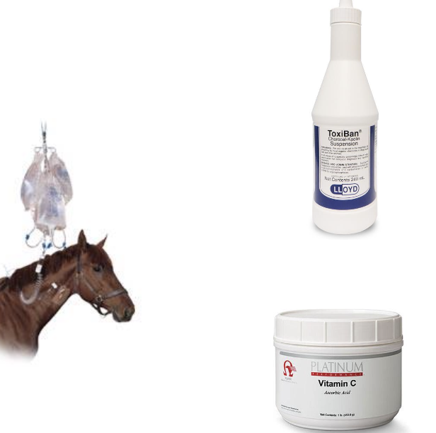 <p>-remove toxic source</p><p>-activated charcoal</p><p>-methylene blue (reduces metHb, NOT for use in horses)</p><p>-antioxidants (vitamin C)</p><p>-supportive care (IV fluids, blood transfusion if significant lysis)</p>