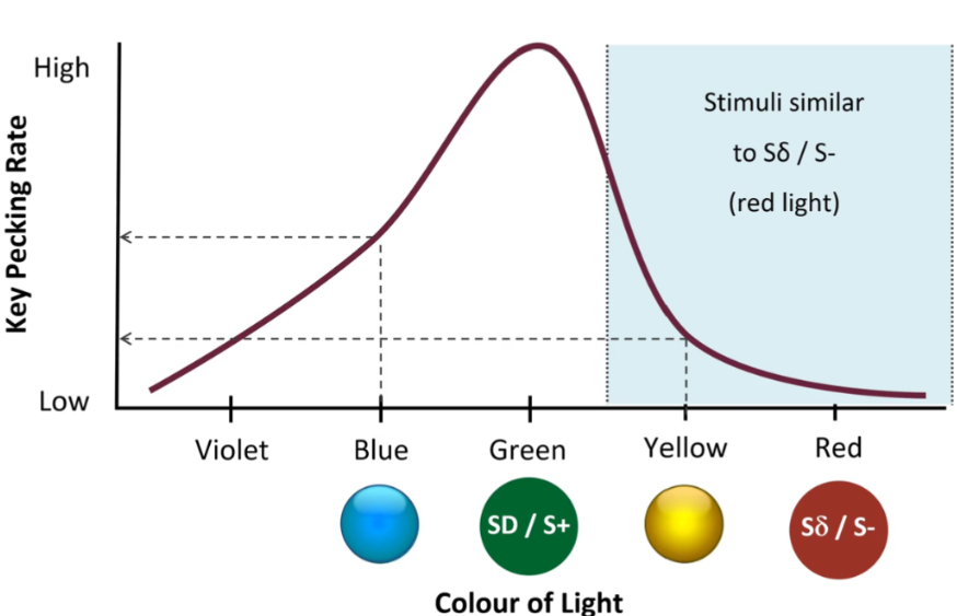 <p>Sδ/S- will constrict range of generalization gradient. Training with Sδ/S- is better for fine tuning. Must exist in same modality (existence)</p><p>i.e. pigeon will not peck button when light is red Sδ/S- but also sometimes at light with similar wavelength</p>