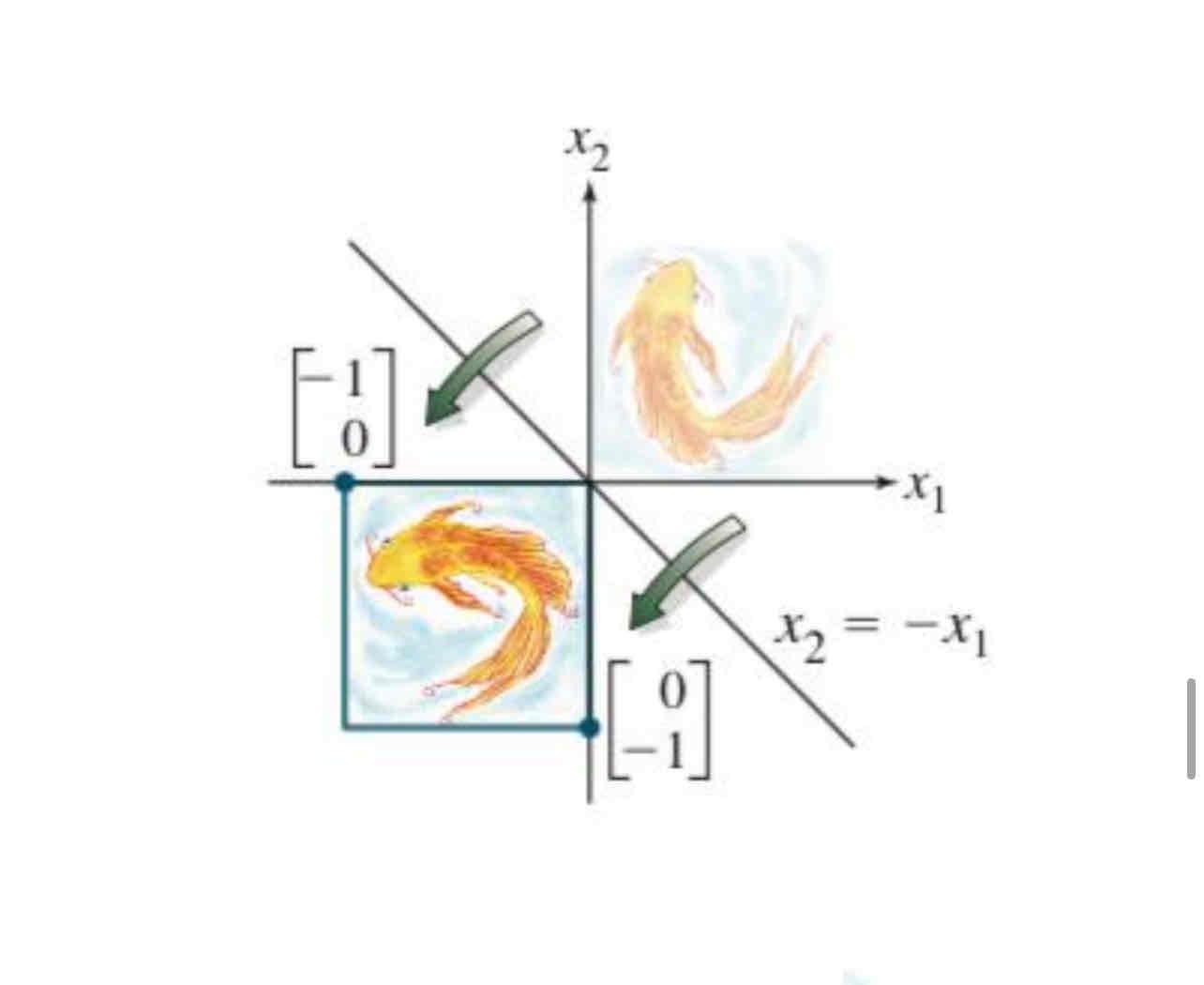 <p>Reflection through the line x2 = -x1</p>