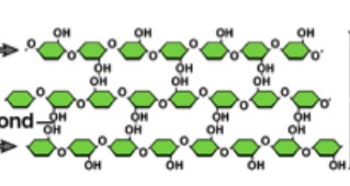 <p>What is this?</p>