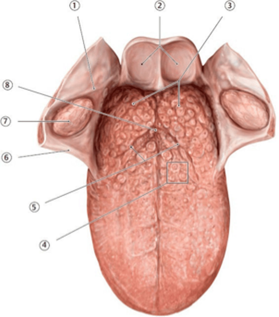 <p>4?</p>