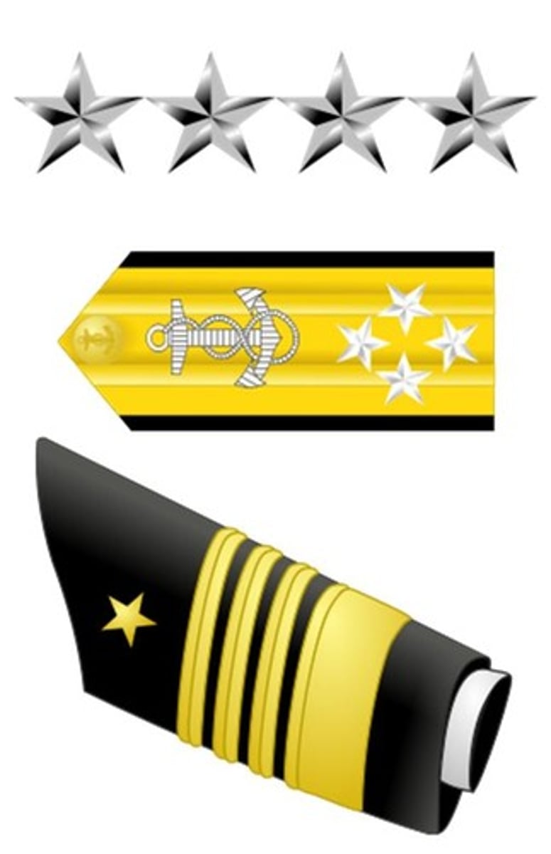 <p>4 Silver stars</p><p>[1] 2" Gold Stripe</p><p>[3] 1/2" Gold Stripes</p>