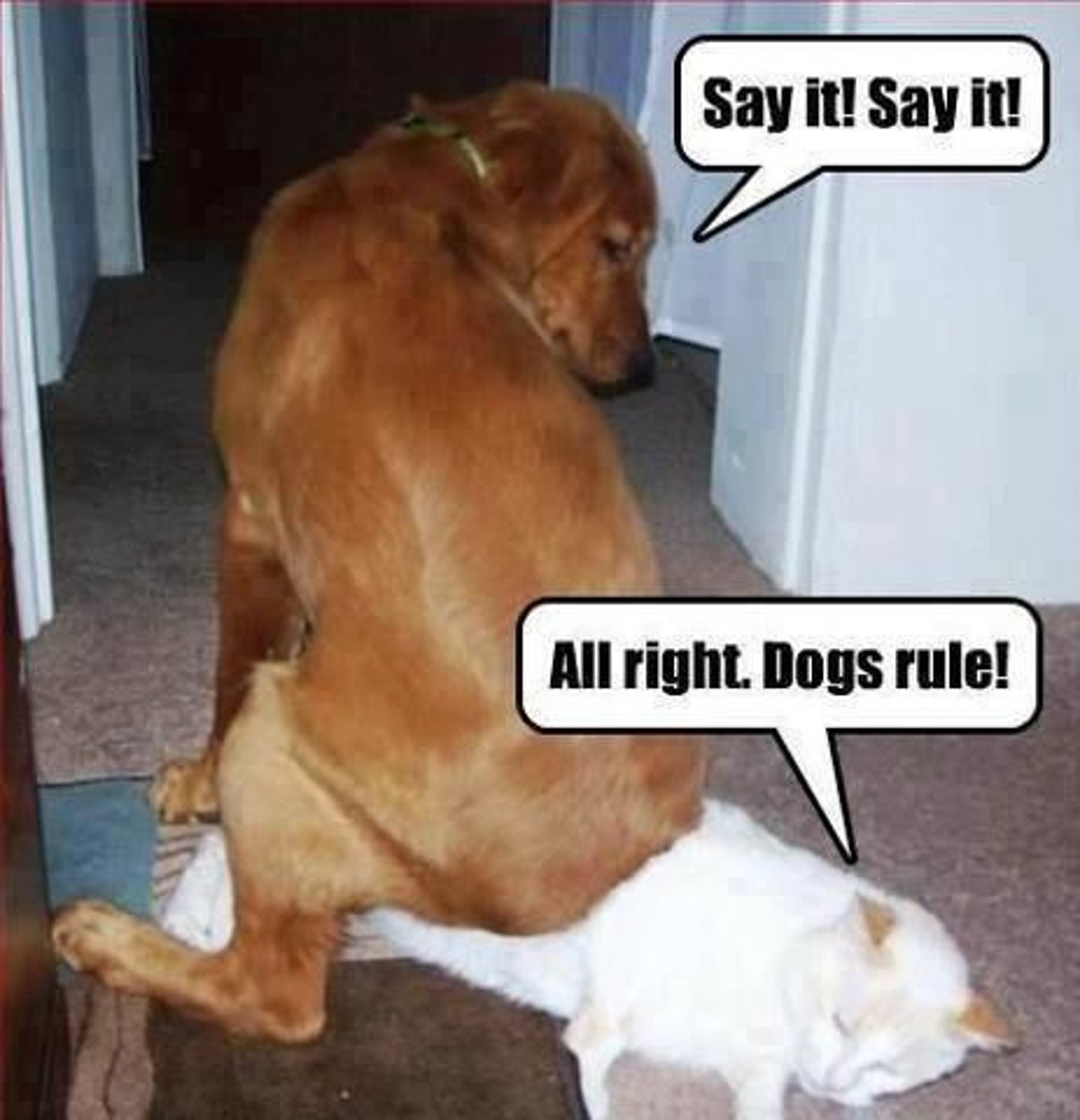 <p>An overwhelming defeat</p>