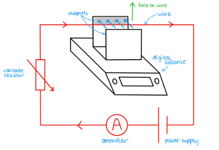 <ol><li><p>Place horseshoe magnet on a digital balance and zero it</p></li><li><p>Connect rigid piece of straight wire to DC supply, variable resistor and ammeter</p></li><li><p>Align the wire so the force on it acts upwards</p></li><li><p>Measure the length of the wire in the field</p></li><li><p>Record extra mass on the balance and use this to calculate the force</p></li><li><p>Plot a graph of current against mass - gradient gives BL/g</p></li></ol>