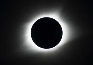 <p><strong>New Moon</strong></p>