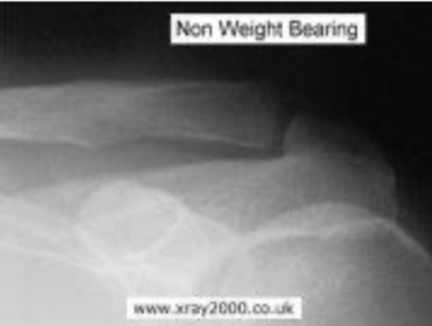 <p>What view is this?</p>