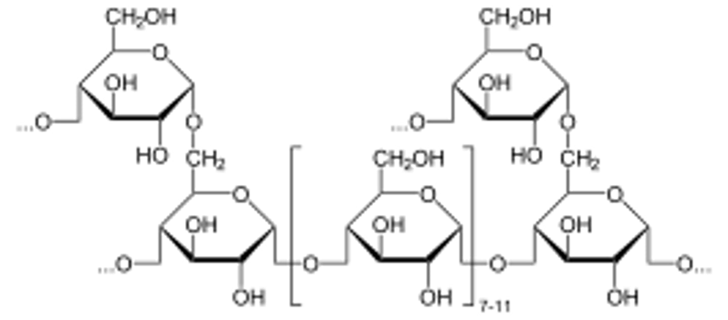knowt flashcard image