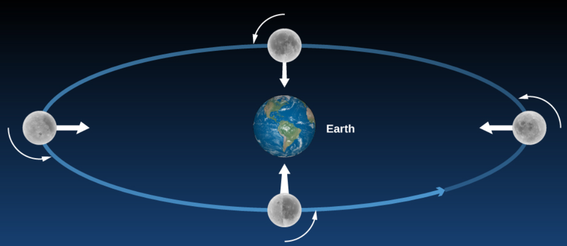 the moon rotates on its axis in exactly the same time that it takes for it to revolve around the Earth