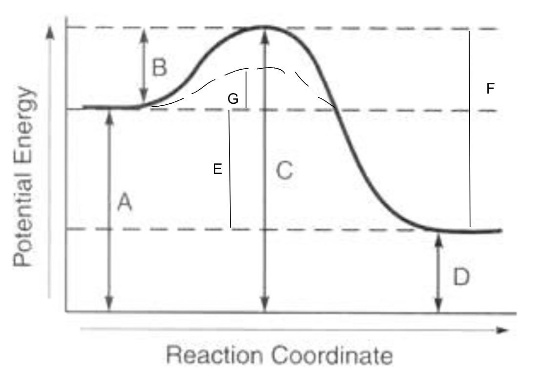 <p>B</p>