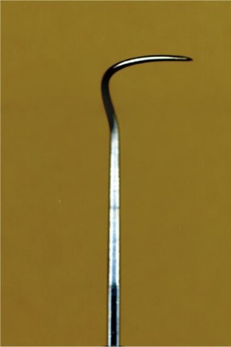 <p>To examine teeth for decay, calculus and furcations</p>