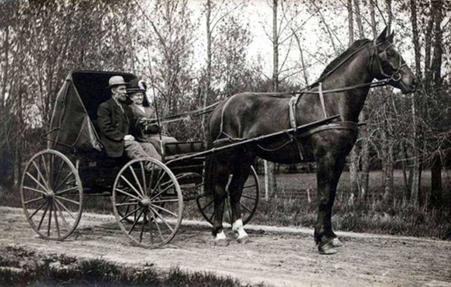<p>conduir/ transportar</p>