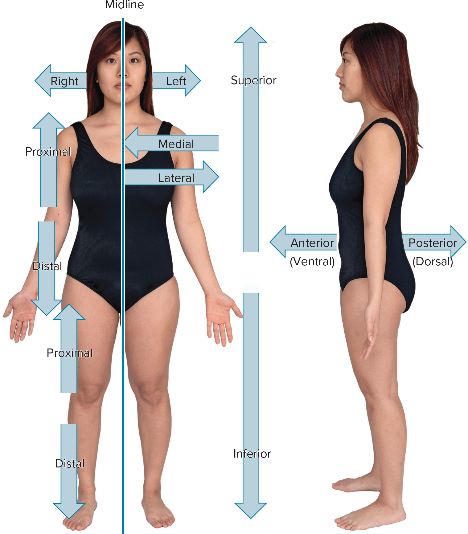 <p>Towards the side, away from midline.</p>