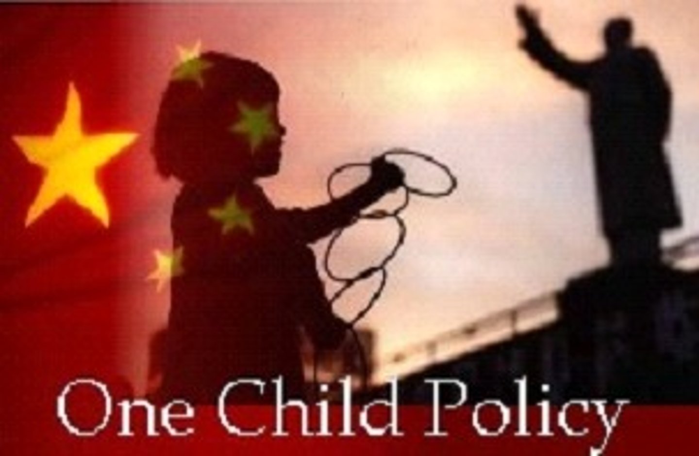 <p>Government policies to reduce the rate of natural increase</p>