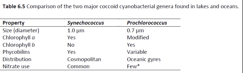 <p>The organisms in the two genera listed in the table below are _____.</p>