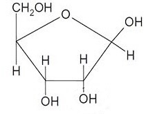 <p>What monosaccharide is this</p>