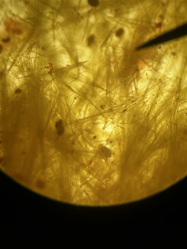 <p>Identify name and describe the osazone.</p>