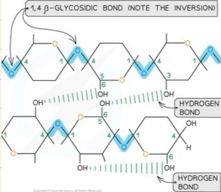 <ul><li><p>chemically inert</p></li><li><p>strong</p></li><li><p>insoluble</p></li><li><p>elastic</p></li></ul><p></p>