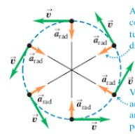 <p><span>Forces that want to accelerate an object in a straight line, Tangent to the curve.</span></p>