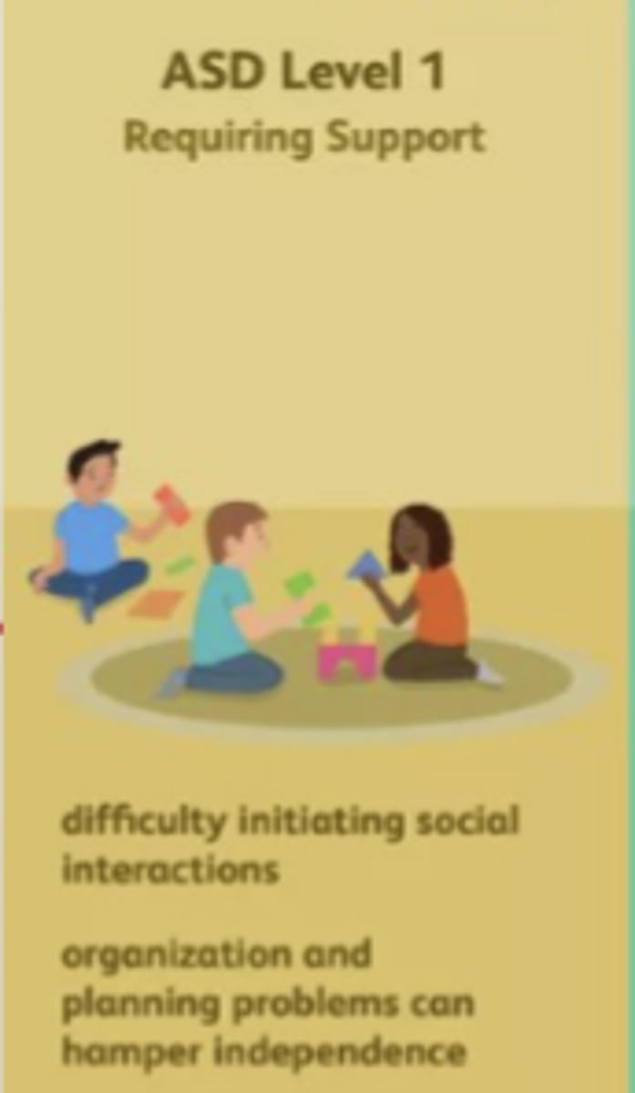 <p>- Child is usually verbally fluent but might have difficulty in back-and-forth meaningful conversations.</p><p>- Could have trouble moving from one activity to another.</p><p>- Difficulty in planning and organizing tasks/actions</p>