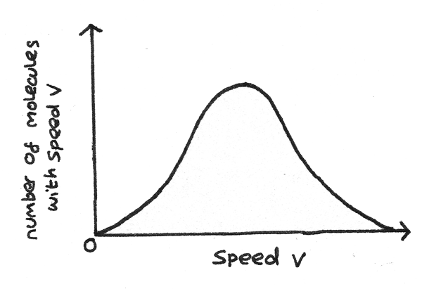 <p><span>Describes the distribution of speeds among particles in a gas</span></p>