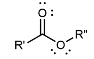 <p>contains a carbonyl group with a second oxygen atom single bonded to the carbonyl carbon and also single bonded to another carbon atom</p>
