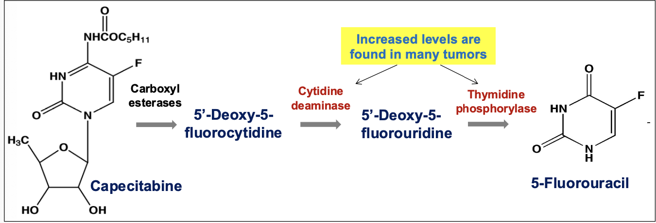 <p>___ is an oral prodrug form of 5-FU?</p>