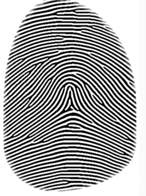 <p>spikes up in the middle</p>