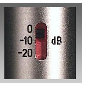 <p>allows you to reduce the sensitivity of the microphone </p>