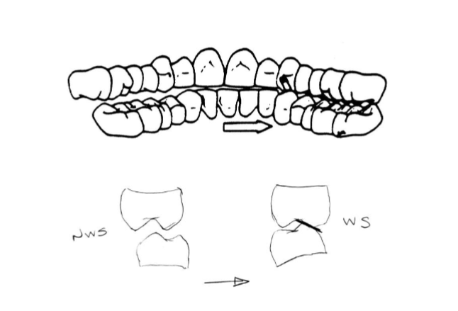 <p>group function </p>
