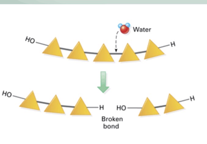 <p>What type of reaction is this?</p>