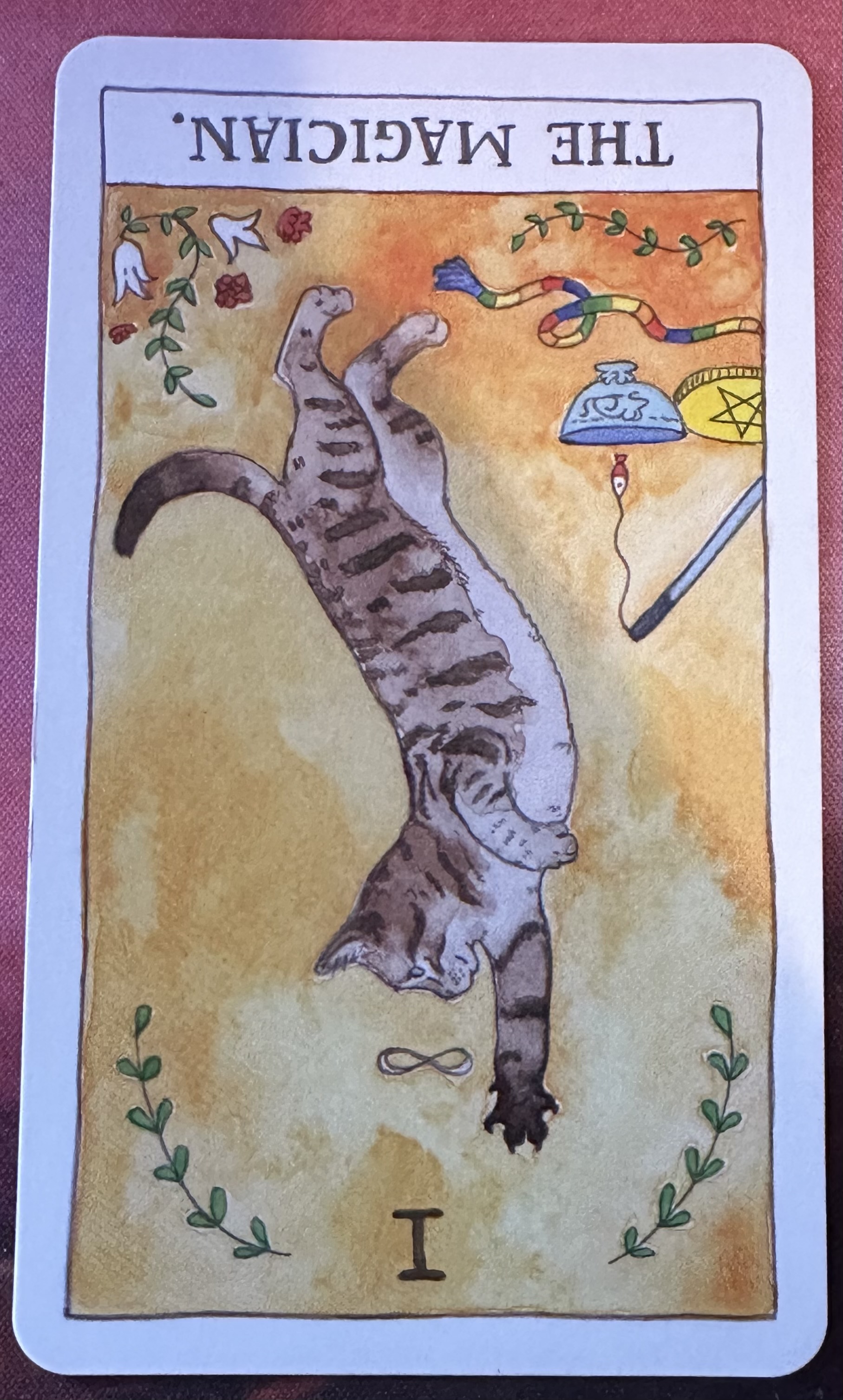 <p>The Magician (I) Reversed</p>