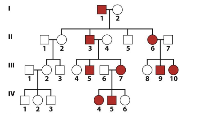 <p><span style="color: blue">What is the most likely form of inheritance of this</span><span style="color: blue"><br></span><span style="color: blue">disease?</span><span style="color: blue"><br></span><span style="color: blue">A. Probably X-linked dominant</span><span style="color: blue"><br></span><span style="color: blue">B. Probably X-linked recessive</span><span style="color: blue"><br></span><span style="color: blue">C. Probably autosomal dominant</span><span style="color: blue"><br></span><span style="color: blue">D. Probably autosomal recessive</span></p>