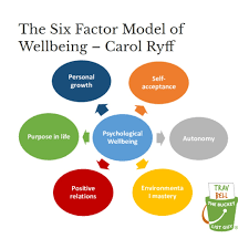 <p>Autonomy, Environmental Mastery, Personal Growth, Positive Relations with Others, Purpose in Life, Self-Acceptance</p>