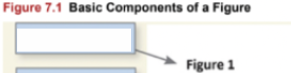 <p>In basic components of a figure, this represents the?</p>