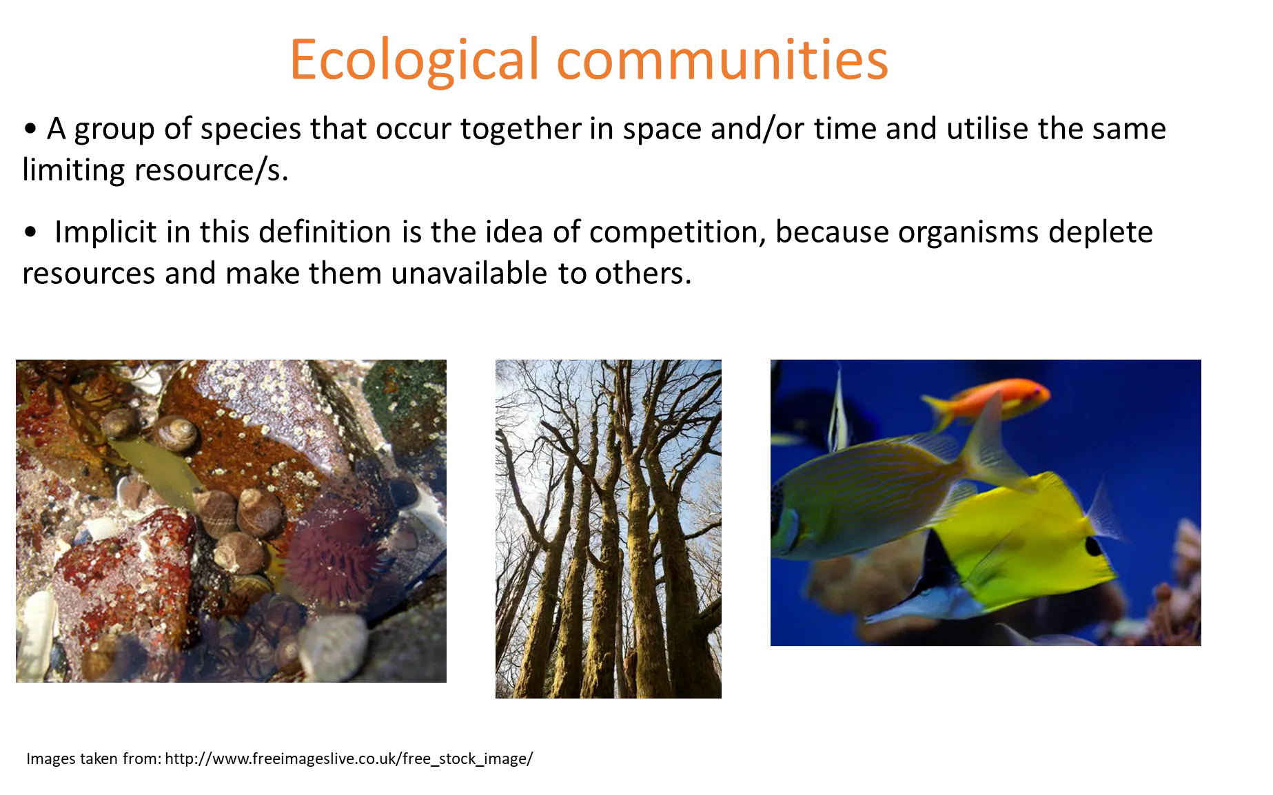 <ul><li><p><span><span>a group of species that occur together in space and time and utilise the same limiting resource/s</span></span></p></li><li><p><span><span>implicit in this definition is the idea of competition, because organisms deplete resources and make them unavailable to others</span></span></p></li></ul><p></p>