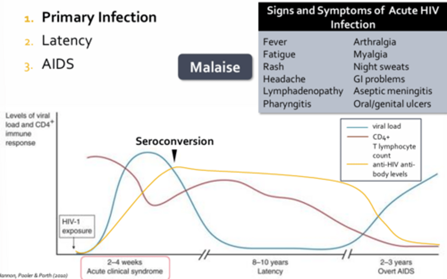 <p>- Characterized by fever, myalgia, fatigue, headaches, malaise</p><p>- Occur one to four weeks following infection and may last up to ten days</p><p>- There is a burst of viral replication resulting in a dramatic increase in viral load and a precipitous drop in the CD4+ positive T-cell count</p><p>- As the adaptive responses, cellular and humoral, finally get underway, viral loads will begin to plummet while CD4+ T-cell numbers will begin to recover (recovery is neither complete nor sufficient to keep HIV at rest)</p><p>- Seroconversion usually occurs one to three months following infection</p><p>- Characterized by detectable levels of anti-HIV antibodies</p><p>- Most common point-of-care rapid lab test used to confirm HIV infection detects the presence of anti-HIV antibodies against the viral capsid protein (p24)- Seroconversion usually occurs one to three months following infection</p><p>- Characterized by detectable levels of anti-HIV antibodies</p><p>- Most common point-of-care rapid lab test used to confirm HIV infection detects the presence of anti-HIV antibodies against the viral capsid protein (p24)</p>