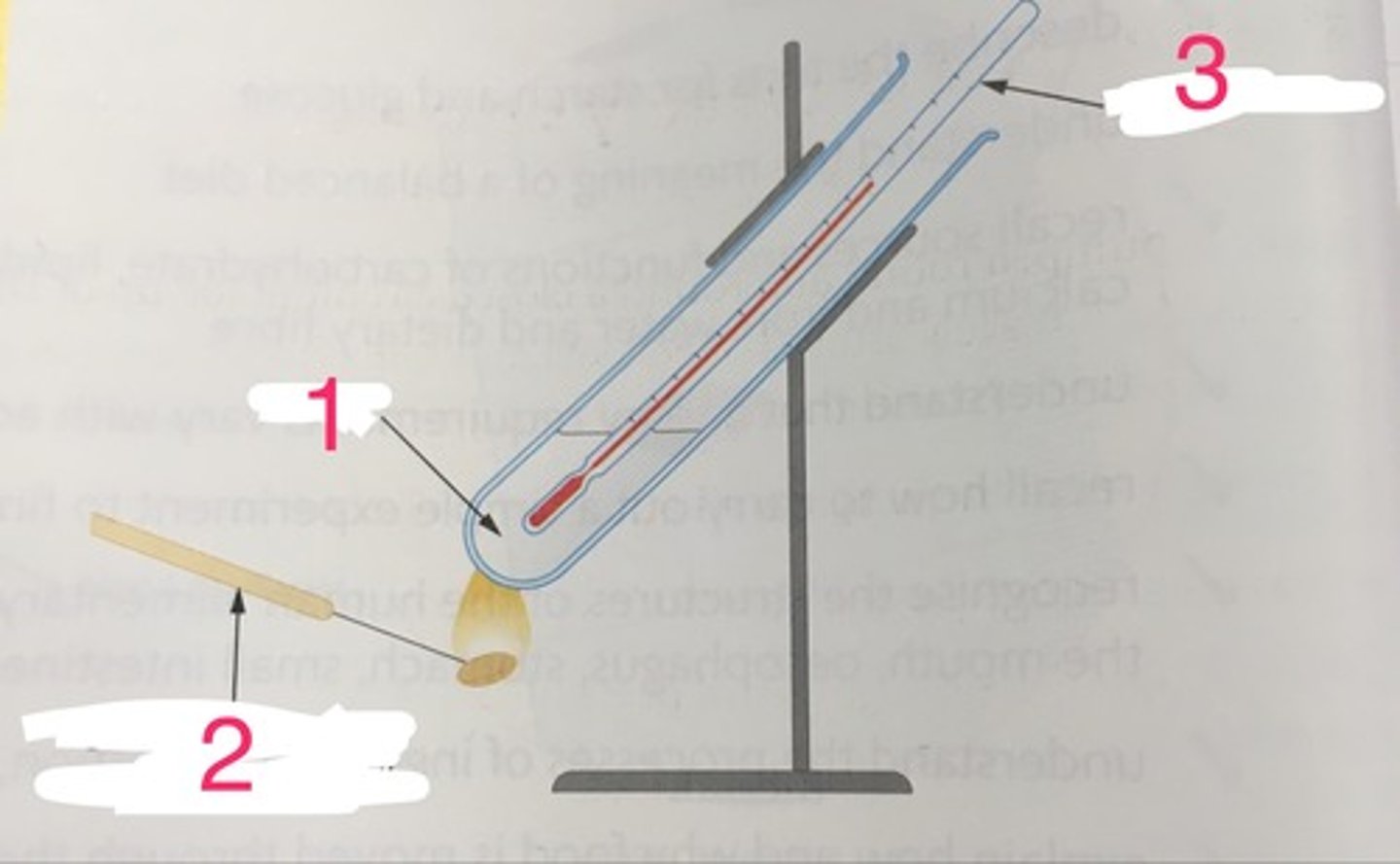 <p>Can be used to demonstrate the energy content of different food items</p>