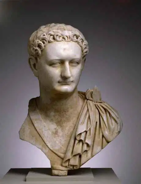 <p>portrait of Domitian </p>