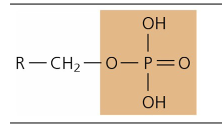 <p>What is the structure style, function, and common context of Phosphate?</p>
