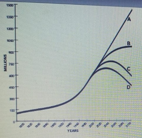 <p>Which of the following growth curves shows a population that is at its carrying capacity?</p>