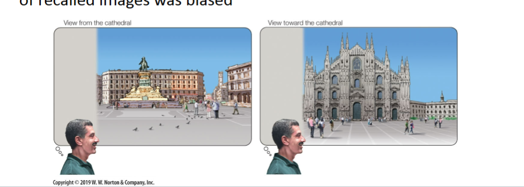 <p>patients asked to recall famous building; always ignored left when asked to recall (no matter from what angle)</p><ul><li><p>not a problem with memory or recall itself; but that attention to parts of recalled images was biased</p></li></ul><p></p>