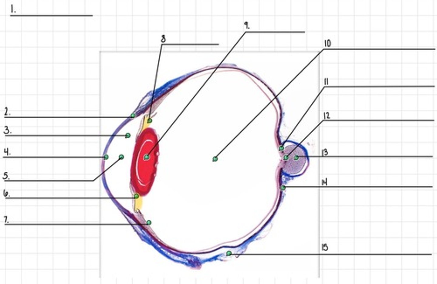 <p>8</p>