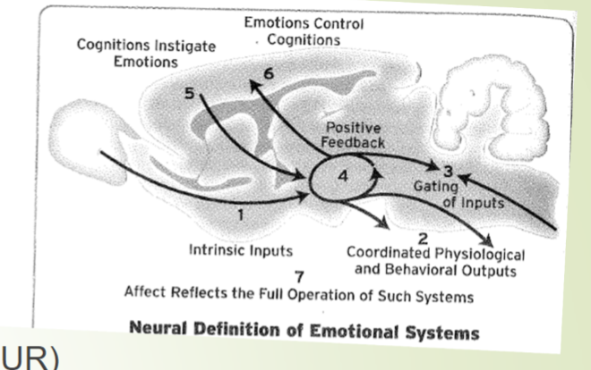 <p>Neural properties of emotional systems</p>