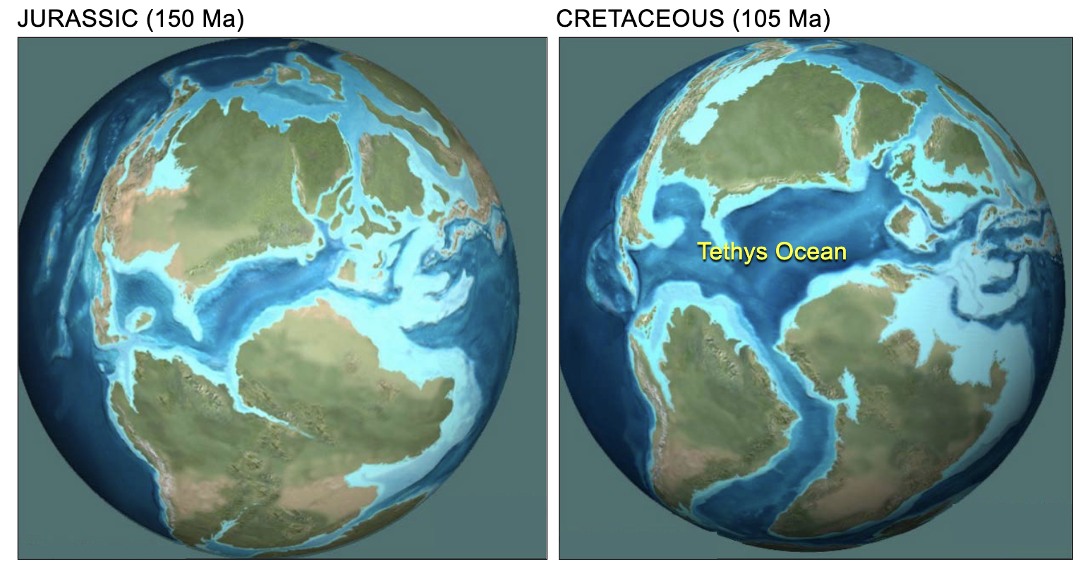 <p>Jurassic (150 Ma) to Cretaceous (105 Ma)</p>