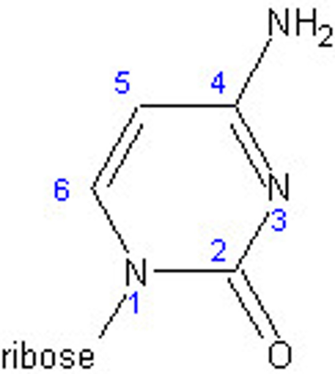 <p>1) ID</p><p>2) Where does the sugar attach?</p>