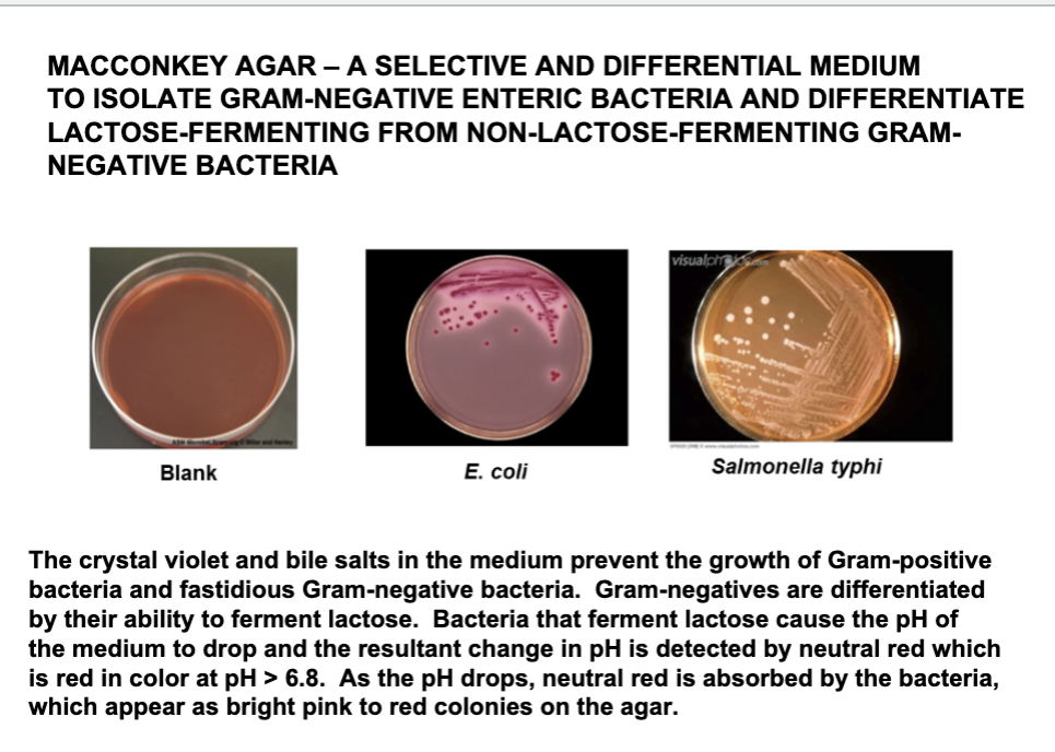 <p>A selective and differential medium to isolate gram - enteric bacteria and differentiate lactose-fermenting from non-lactose -fermenting gram - bacteria</p>