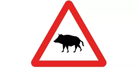 <p>¿Cuál es su significado?</p>